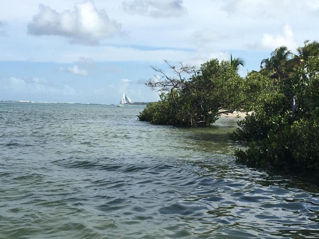 Polinesia Resort - Porto De Galinhas - Apartamentos Com Somente 1 Opcao De Terreo Com Piscina Privativa - Acesso Ao Hotel Samoa المظهر الخارجي الصورة