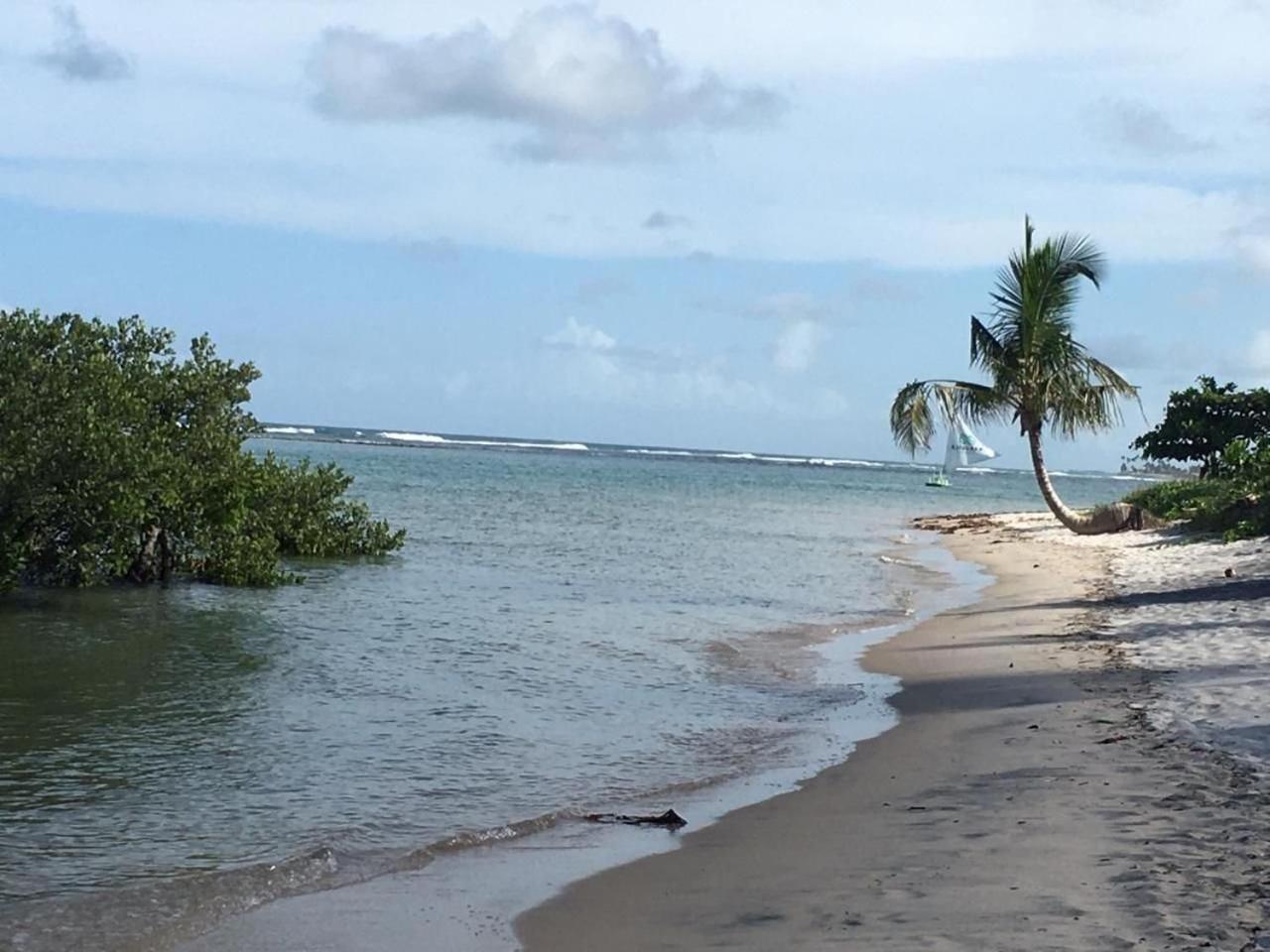 Polinesia Resort - Porto De Galinhas - Apartamentos Com Somente 1 Opcao De Terreo Com Piscina Privativa - Acesso Ao Hotel Samoa المظهر الخارجي الصورة